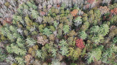 0 Soque Falls Circle Lot 35, Clarkesville, GA 30523 - photo 7