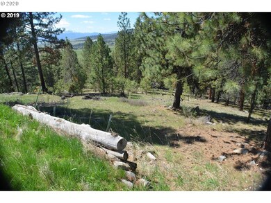 31595 Dixie Creek Rd, Prairie City, OR 97869 - photo 4