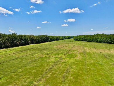 000001 Johnson Line Rd, Bolton, MS 39041 - photo 5