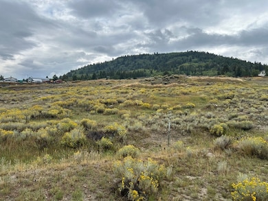 Lot 5 Echo Industrial Park, Butte, MT 59701 - photo 2