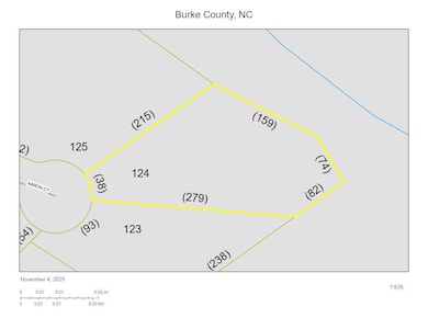 4269 Aaron Ct, Morganton, NC 28655 - photo 4