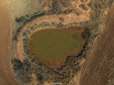 TBD County Road 260, Colorado City, TX 79512 - photo 4