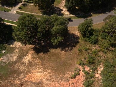 DJI_0020