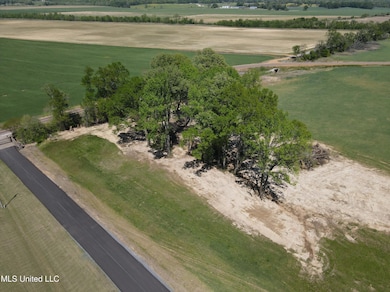 13 Como Trace Dr, Senatobia, MS 38668 - photo 6