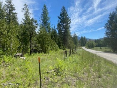 NNA (7800) 20 Ac Blue Lake Rd, Priest River, ID 83856 - photo 6