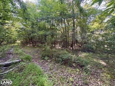 456 Geisler Rd, Piney Flats, TN 37686 - photo 7