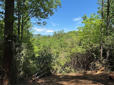 79 Forest Edge Dr, Murphy, NC 28906 - photo 3