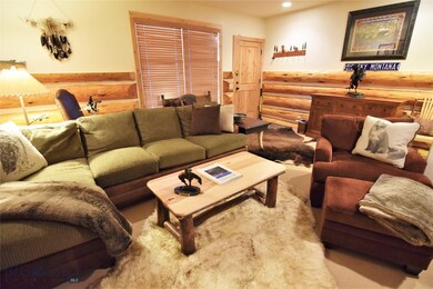 Lower level family room.