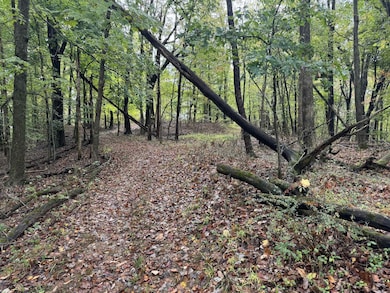 288 Walnut Dr, Logan, OH 43138 - photo 4