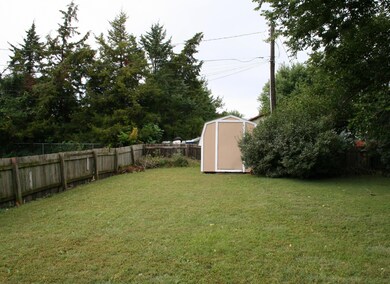 Back yard