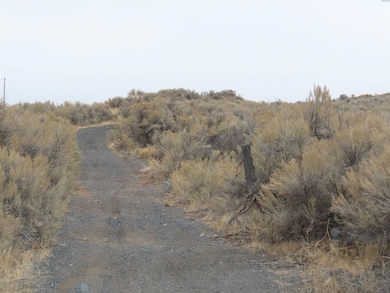 NKA E North 3rd St, Lind, WA 99341 - photo 2