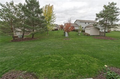 Back yard view