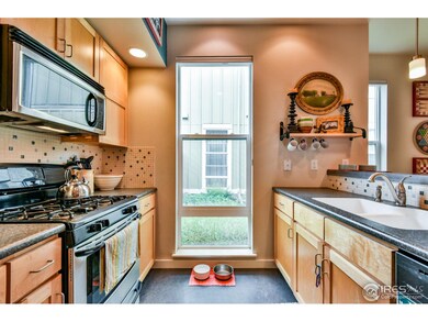 803 Heschel St, Fort Collins, CO 80524 - photo 7