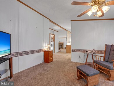 117 W Spruce St, Palmyra, PA 17078 - photo 5