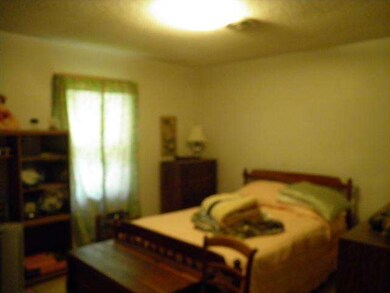 229 Lou Ellen Dr, Manchester, TN 37355 - photo 5