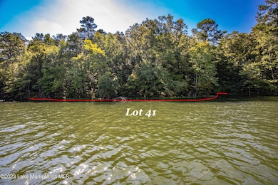 lot 41