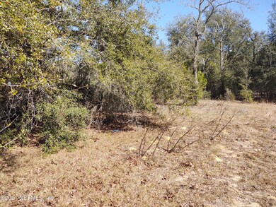 IMG_20210207_134129745