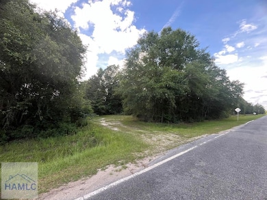 00 Hodges Rd, Hinesville, GA 31313 - photo 7