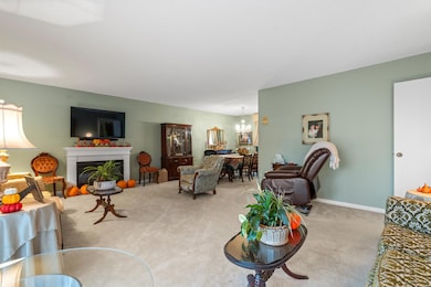 115 Village Rd, Hot Springs National Park, AR 71913 - photo 6