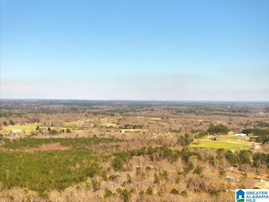 0 Lamon Chapel Rd unit 1/3 21415274, Jasper, AL 35503 - photo 6