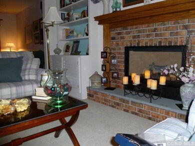 20 Strange Ct unit PP 24, Athens, NY 12015 - photo 7