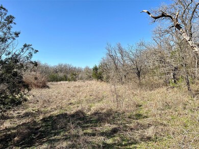 1978 Cain Ln, Weatherford, TX 76088 - photo 5