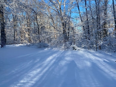 11 Lower Gore Rd, Webster, MA 01570 - photo 3