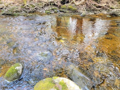 Bacon Brook