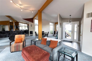Living room featuring carpet and rail lighting