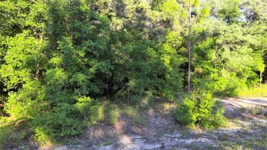 TBD SW Valencia Heights Ave, Dunnellon, FL 34431 - photo 3