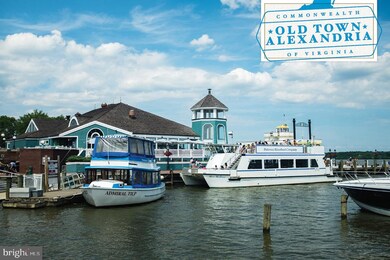 1211 Michigan Ct, Alexandria, VA 22314 - photo 3