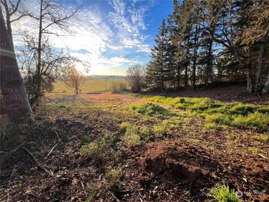 2837 Jackson Hwy, Chehalis, WA 98532 - photo 3