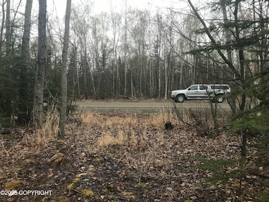 7963 S Lucindas Place, Wasilla, AK 99623 - photo 6