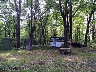 0 Cedar Rd, Lincoln Township, MI 48625 - photo 2