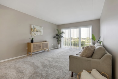 2900 Maple Ave unit 17E, Downers Grove, IL 60515 - photo 6