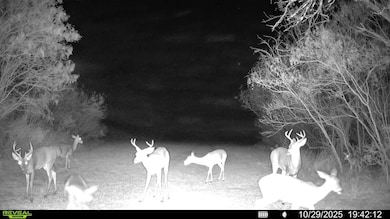 0 County Road 215, McCoy, TX 78113 - photo 7