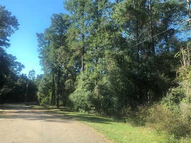 502 & 506 W Rollingwood, Pinehurst, TX 77362 - photo 3