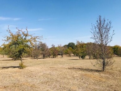100 Middle Rd, Denison, TX 75021 - photo 7