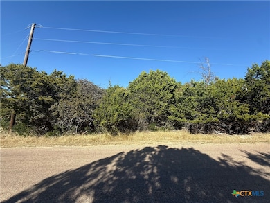 16012 Salado Dr, Temple, TX 76502 - photo 4