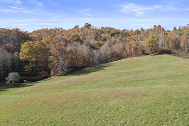 3-web-or-mls-DJI_0445