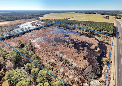 xx Ga Hwy 319 N, Other Georgia, GA 31768 - photo 6