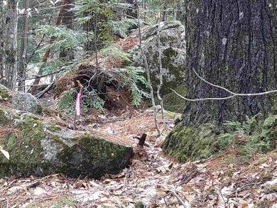 155 Pine Hill Rd, Ossipee, NH 03890 - photo 2