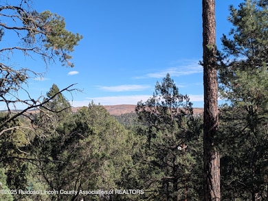 117 San Juan Rd, Ruidoso, NM 88345 - photo 7