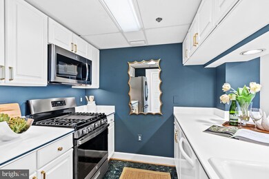 The Williamsburg unit 806, Arlington, VA 22201 - photo 7