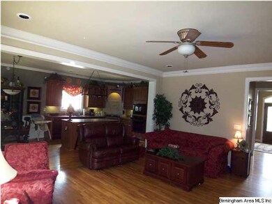 Living room opens up to kitchen!