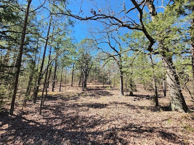 46.1 No Physical Address, Wister, OK 74966 - photo 3