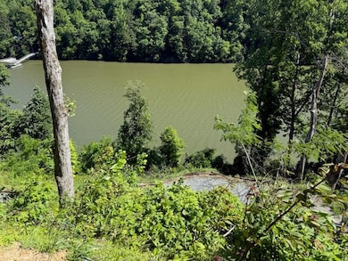 0 Waters Edge unit 26041014, Bryson City, NC 28713 - photo 7