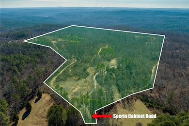 170 Sperin Cabinet Rd, Ball Ground, GA 30107 - photo 3