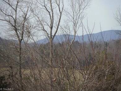 L 11 Mountain Shadows Dr, Purlear, NC 28665 - photo 5