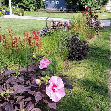 Front Gardens